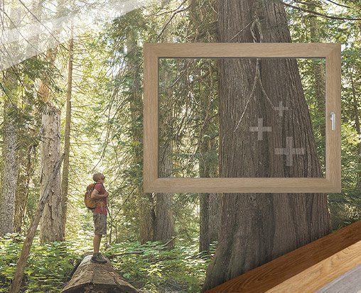 Kolorystyka woodec – inspirowane naturą